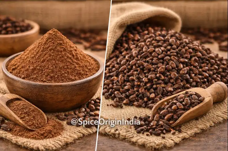 Bulk cloves powder and whole cloves for export from India by Spice Origin India, certified wholesale spice supplier
