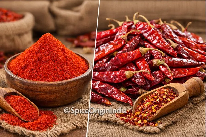 Bulk red chilli powder and whole red chillies for export from India by Spice Origin India, wholesale spice supplier with private labeling