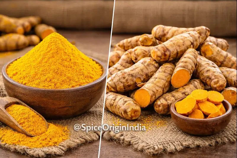 Bulk turmeric powder and whole turmeric fingers for export from India by Spice Origin India, certified wholesale spice supplier